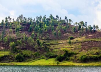 From Eco-Resorts to Safari Lodges, These Hotels Are All About Sustainability