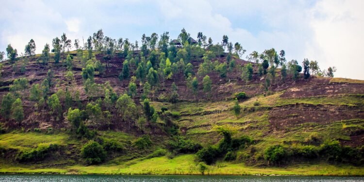 From Eco-Resorts to Safari Lodges, These Hotels Are All About Sustainability