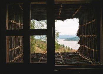 Obiettivo rigenerazione