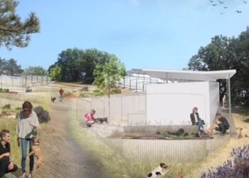 A vision: New type of shelter gives animals a chance