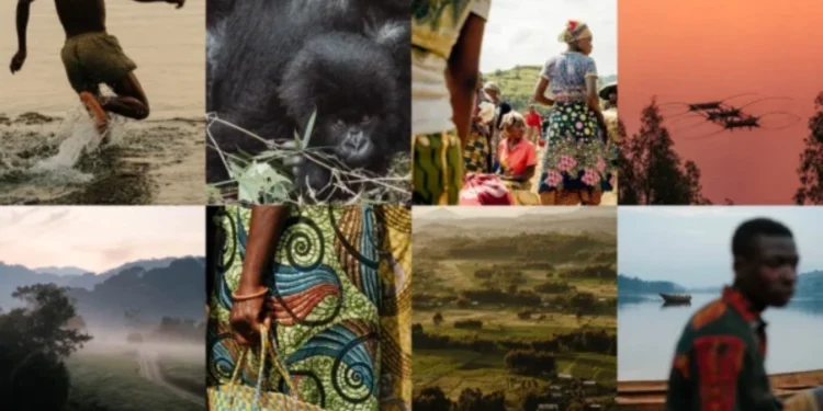 Walking among giants: my heart-thumping gorilla adventure in the forests of Rwanda