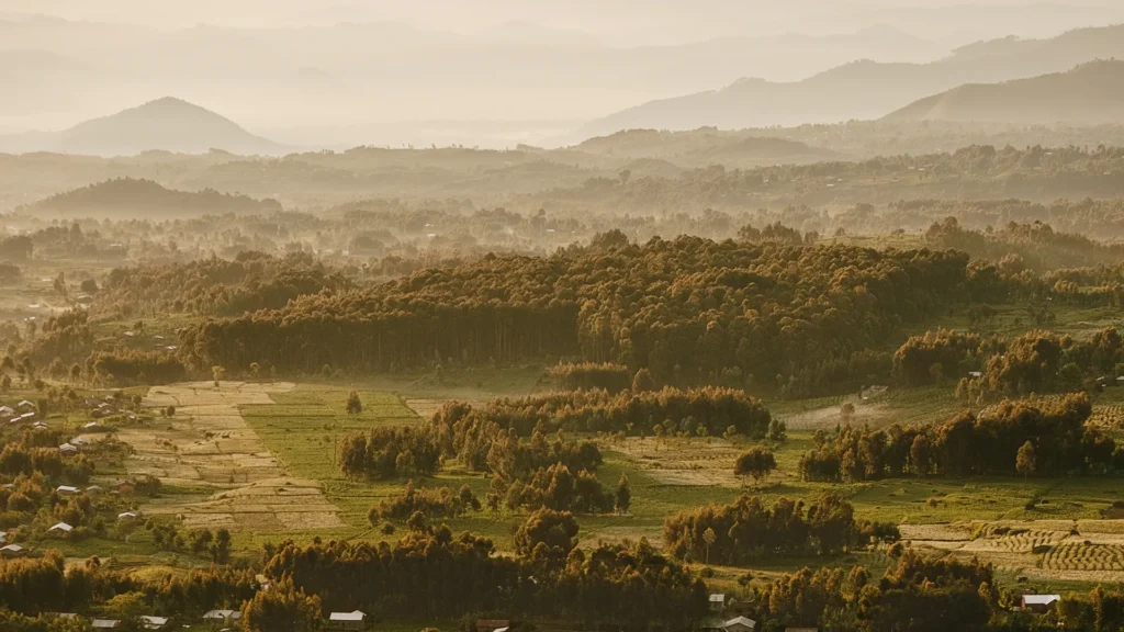 How Conservation and Community Are Helping to Heal the Land—and People—of Rwanda