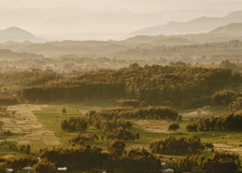 How Conservation and Community Are Helping to Heal the Land—and People—of Rwanda