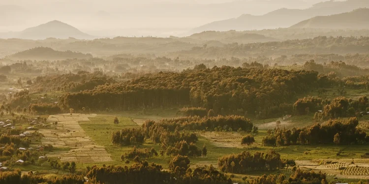 How Conservation and Community Are Helping to Heal the Land—and People—of Rwanda